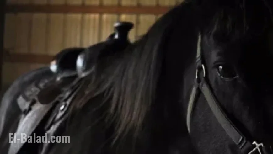 Dayton Raiola, Brother of Huskers QB, Withdraws Nebraska Commitment