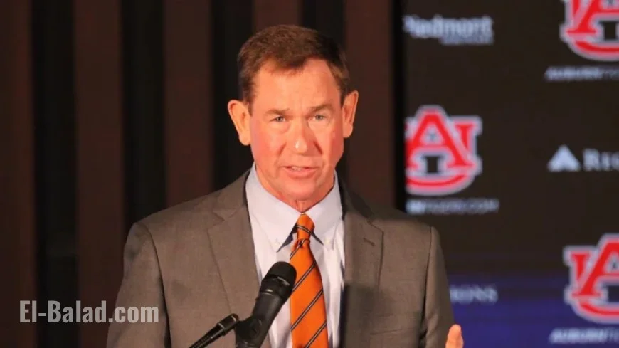 Who Advises Auburn AD John Cohen in Coaching Search?