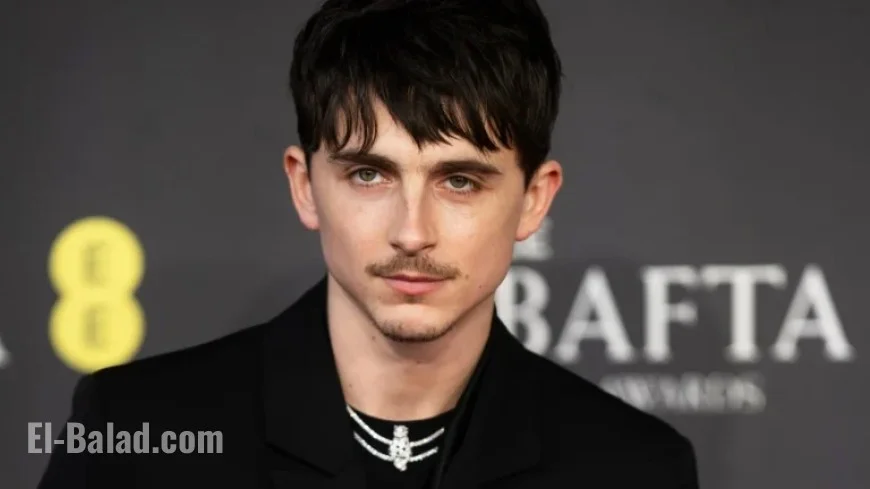 Timothee Chalamet U.K. Rap: Is He the Mysterious EsDeeKid?