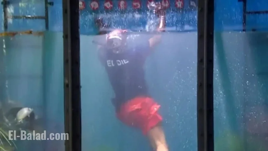 Eddie Kadi Horrified as Bushtucker Trial Fails on I’m A Celebrity