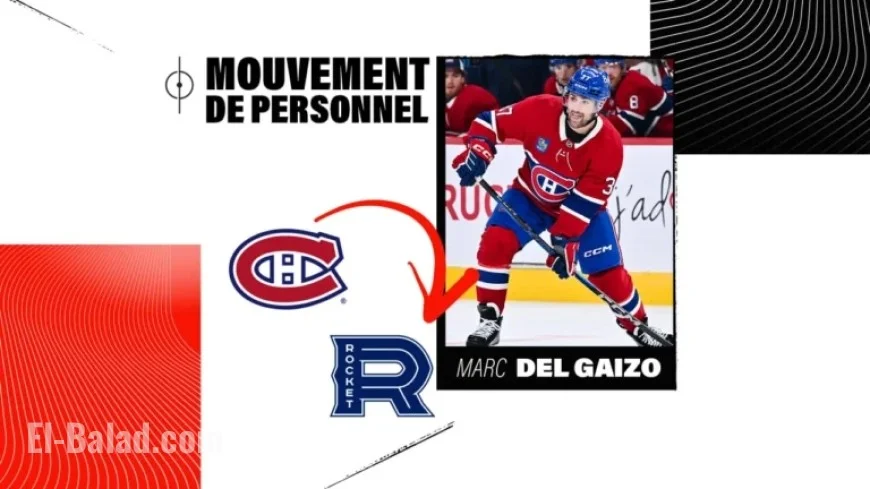 Marc Del Gaizo Assigned to Laval Rocket