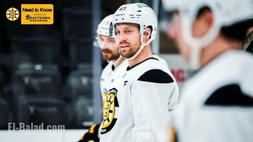 Bruins Face Ducks: Essential Preview