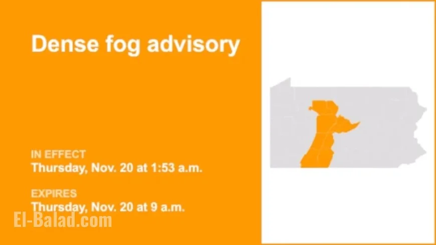 Dense Fog Advisory in Central Pa. Limits Visibility to 1/4 Mile Until Thursday
