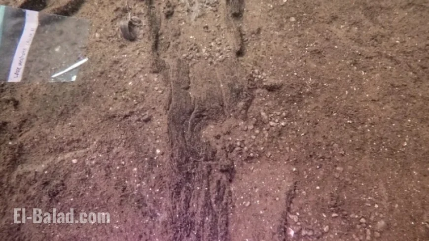 Wisconsin Archaeologists Uncover 16 Ancient Canoes in Prehistoric Site