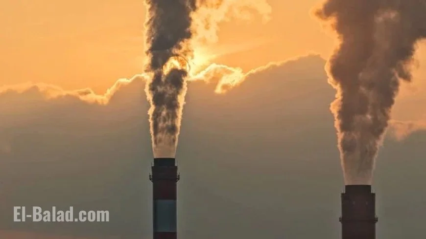 Why Are Businesses Quiet on Climate Pledges?