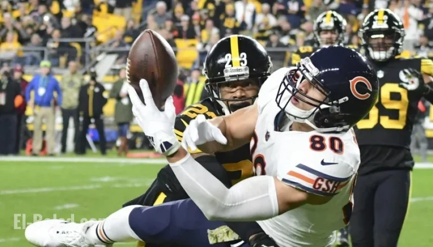 Bears vs. Steelers: Week 12 Predictions