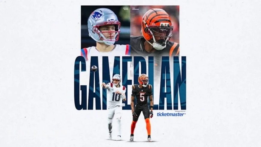 Week 12 Winning Strategies Against the Bengals