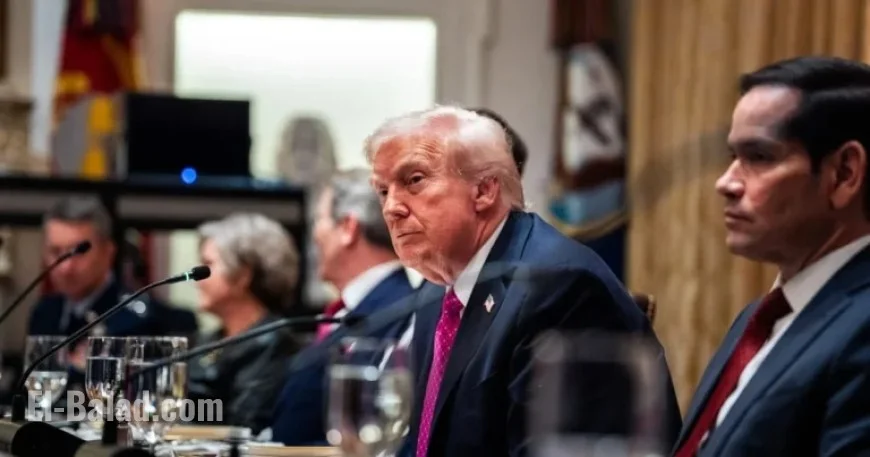 POLITICO Criticizes Ukraine Peace Proposal as Ineffective