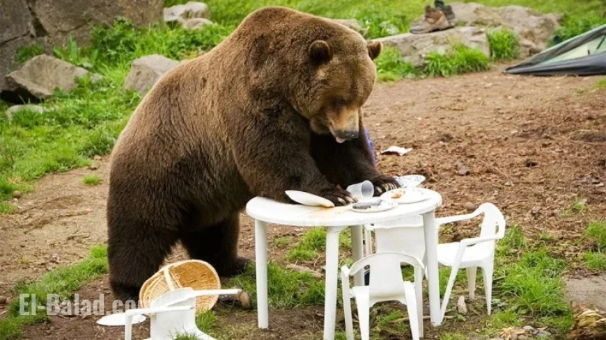 Stock Market Plummets: Dow Jones Reverses, Nvidia Stalls, Bitcoin Dives