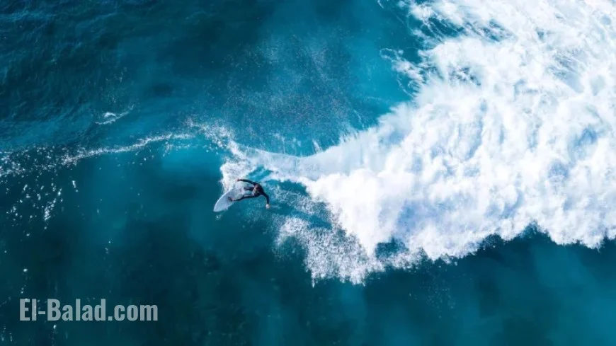 Deadly Shark Attacks in Reunion: Surfing Gradually Resumes Post-Crisis