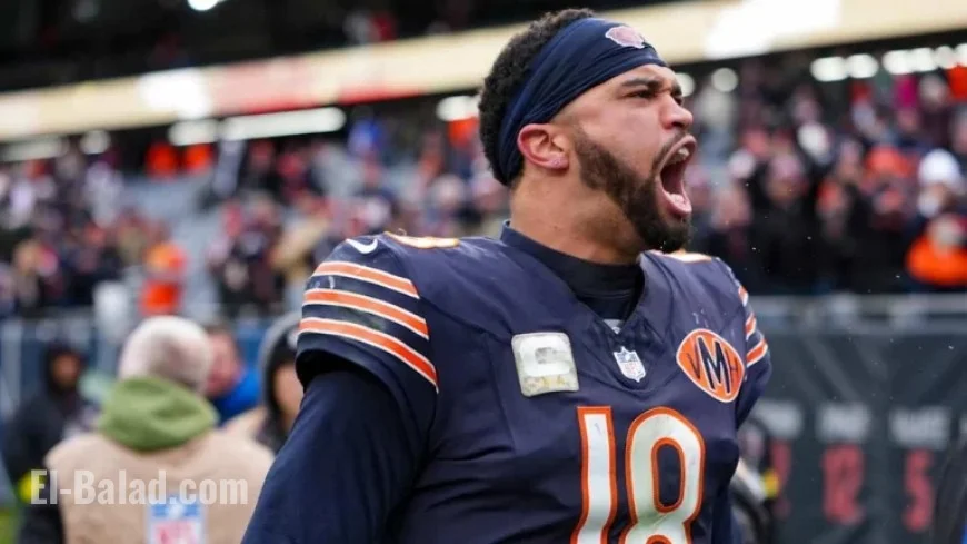 NFL Playoff Outlook: 2025 Postseason Odds Entering Week 12