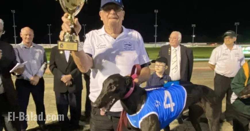 NSW Greyhound Racing Highlights – November 21
