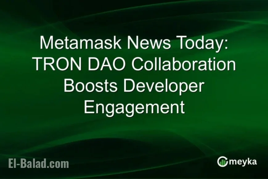 TRON DAO Collaboration Enhances Developer Engagement on Metamask