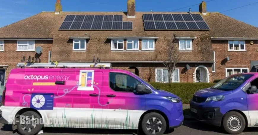 Reduce Heat Loss and Lower Bills with a 99p Octopus Energy Tip