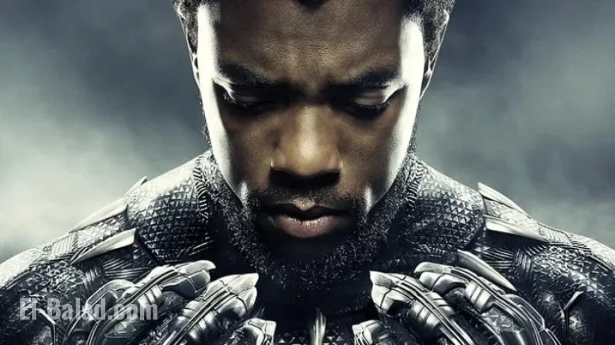 Chadwick Boseman Receives Star on Hollywood Walk of Fame