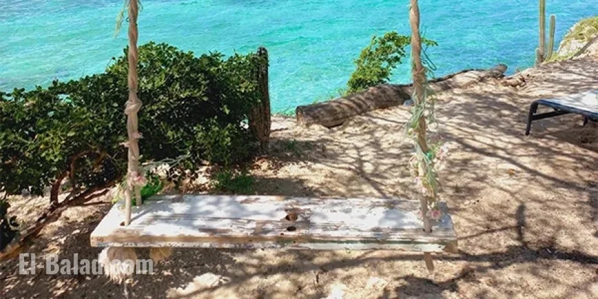 Paradise Awaits: Swing into Aruba’s Beauty with Caribbean Photo of the Week