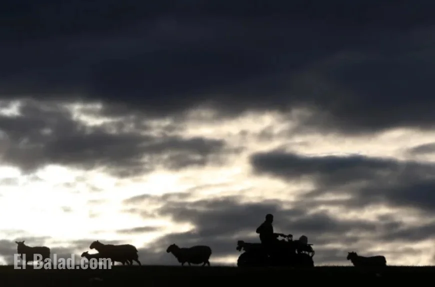 Young Farmers Face Budget Uncertainty Amid Century-Old Sales Hesitation