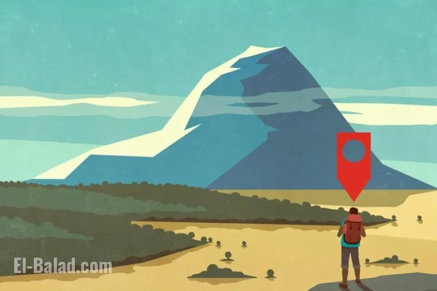 Google Stock Hits Record High