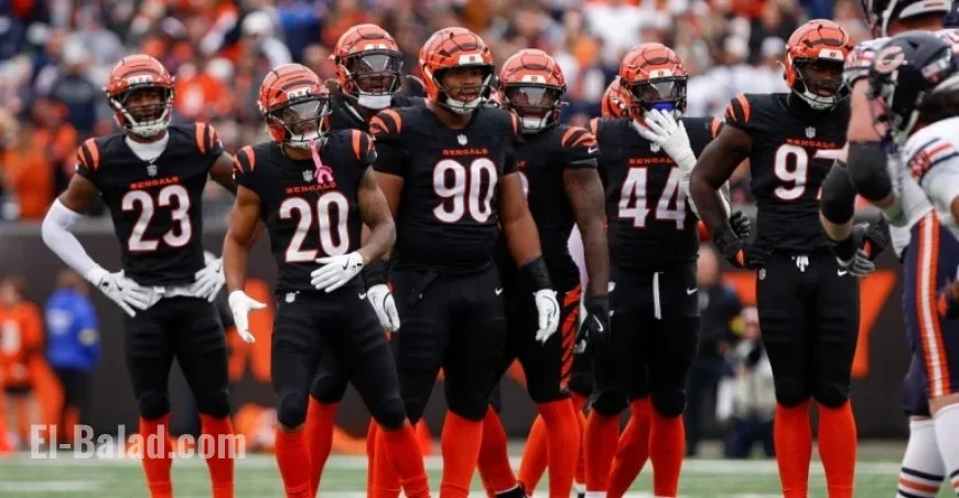 5 Key Questions on Patriots’ Next Rival: The Bengals