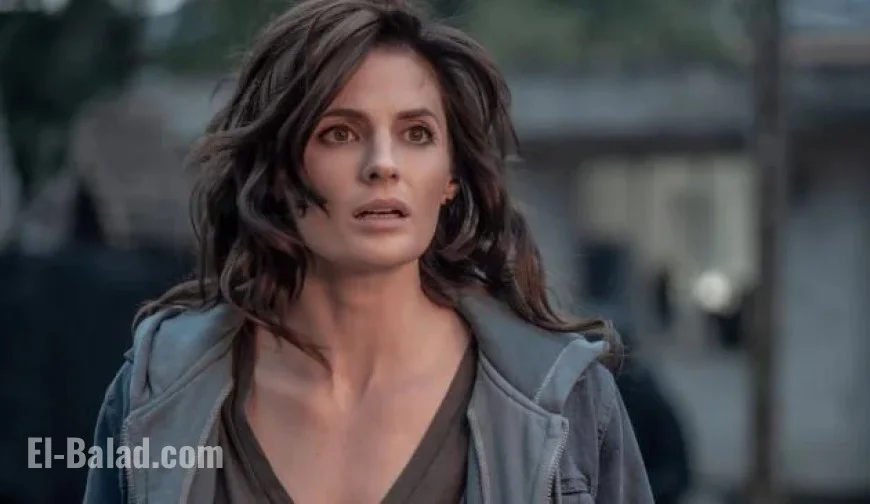 ‘Absentia’ Season 4: The Definitive Update on Its Netflix Status