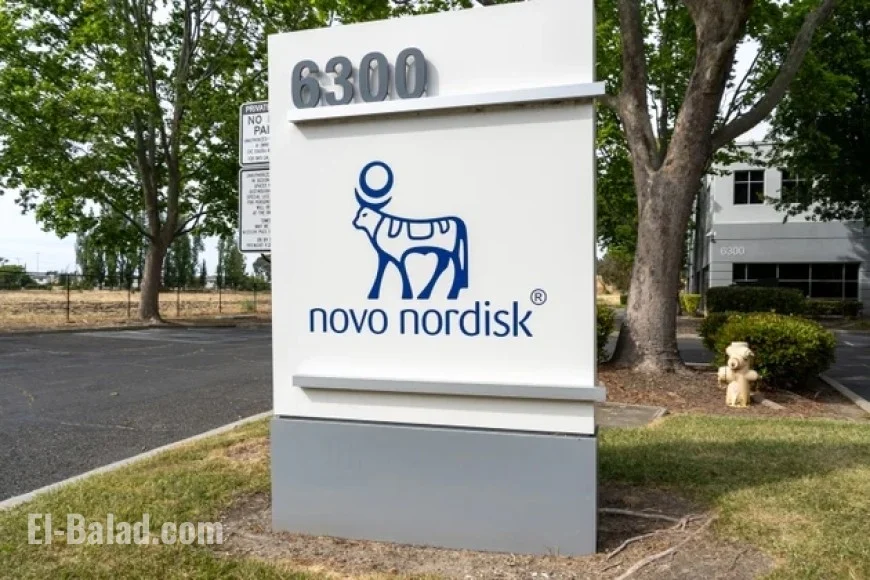 Novo Challenges Lilly Rally with New Alzheimer’s Data on GLP-1