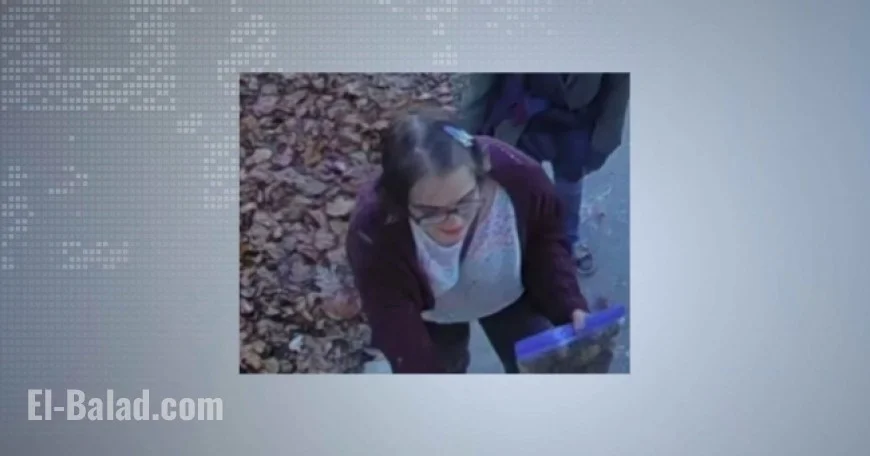 Morgan Geyser Missing in Madison After Escaping Monitoring Bracelet