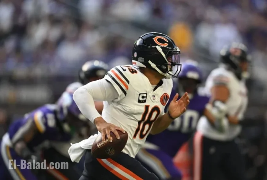 Bears’ Chances to Triumph Over Steelers in Week 12 Showdown