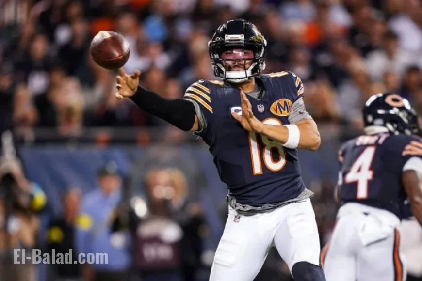Pittsburgh Steelers vs. Chicago Bears: Predictions, Betting Tips, and Odds
