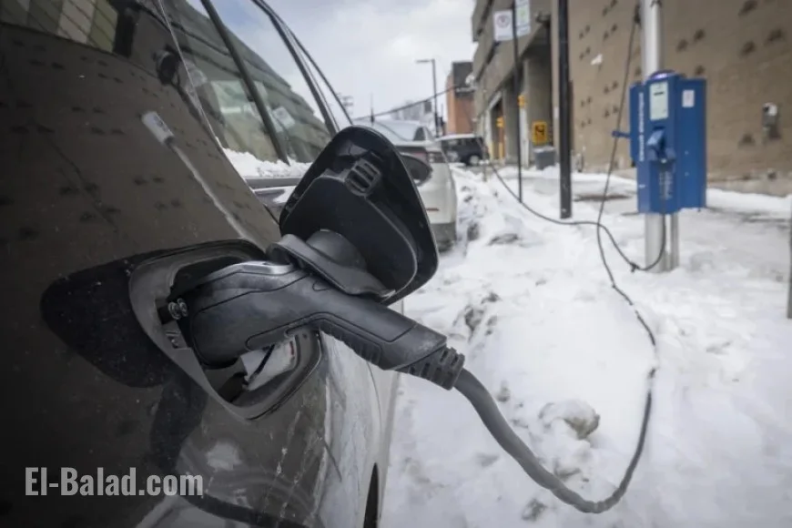 Human Impact: Analyzing the Environmental Footprint of Hybrid Cars