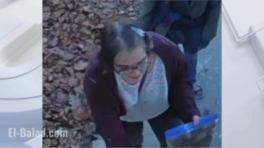 Morgan Geyser Escapes, Severing Monitoring Bracelet in Slender Man Case