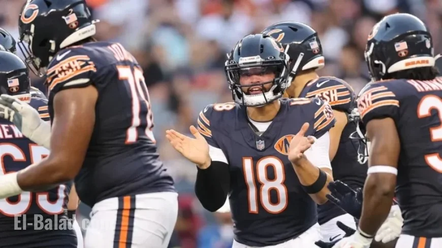 Steelers vs. Bears: Week 12 NFL Predictions, Picks, and Odds