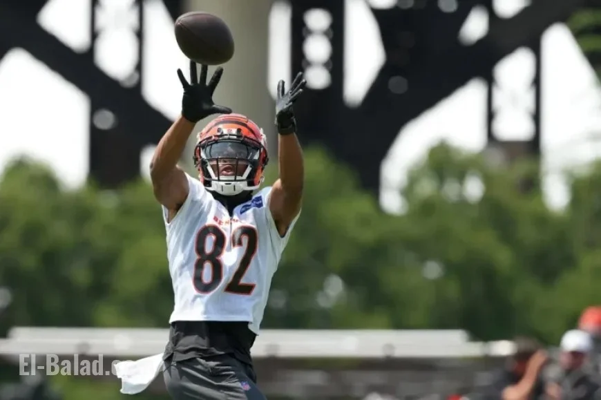 Mitchell Tinsley’s 2025 Net Worth: NFL WR Salary & Career Earnings Overview