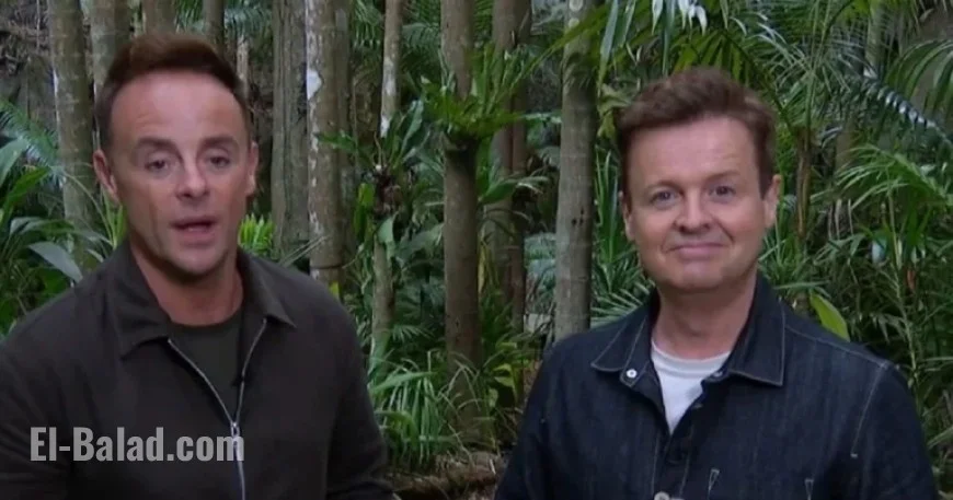 Dec Confronts Ant Over Alleged ITV Campmate Feud on I’m A Celebrity