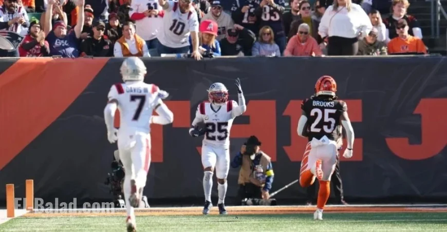 Patriots Triumph 26-20 Over Bengals: NFL Week 12 Analysis