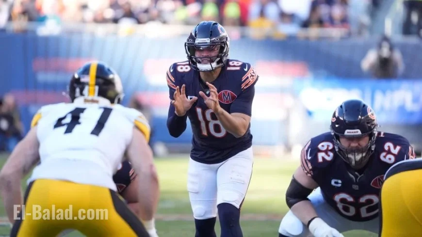 Chicago Bears Triumph Over Steelers: Key Insights from NFL Week 12 Victory