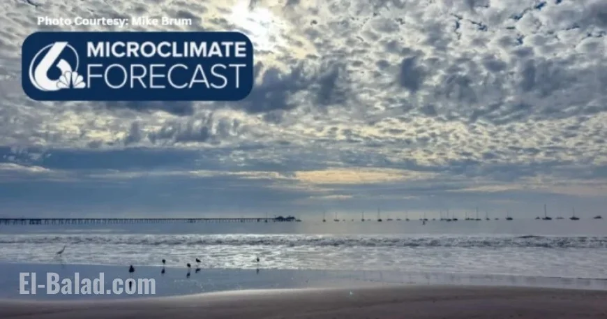 Warmer Temperatures Expected This Week