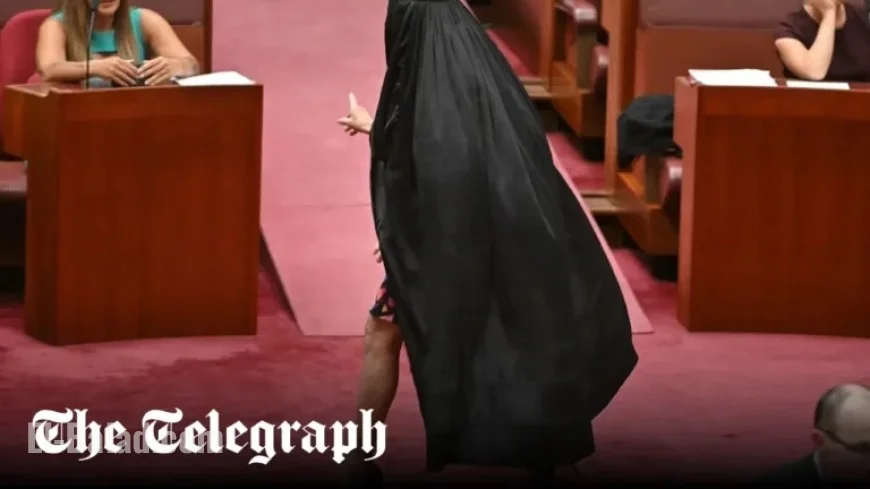 Australian Senator Faces Accusations of Racism Over Burka Protest