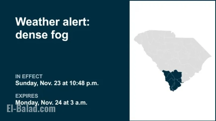 Dense Fog to Blanket Lowcountry Until 3 a.m. Monday