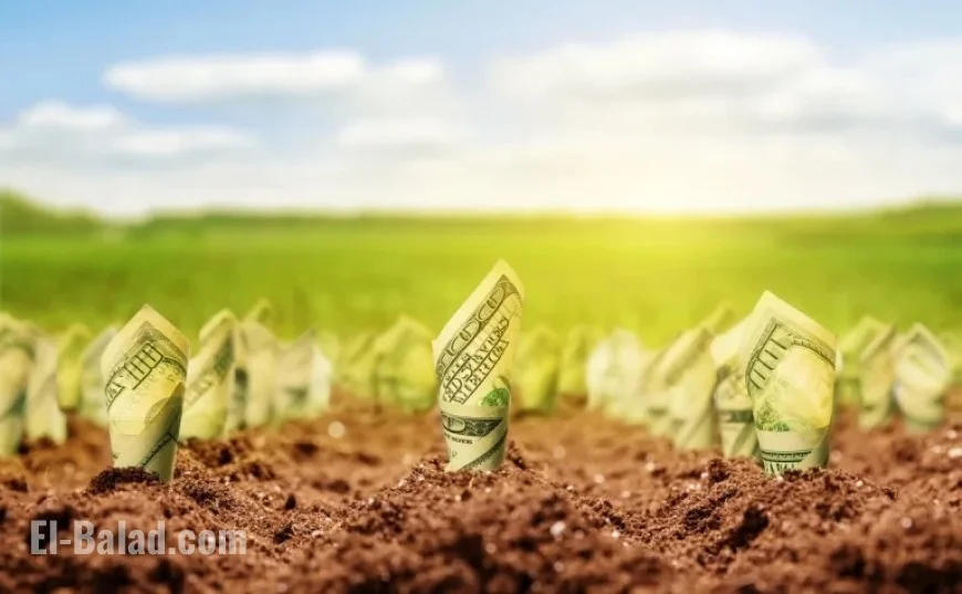 Invest $5,000 in These 4 Dividend Stocks for Long-term Growth