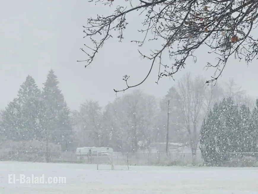 Winter Weather Advisories Issued as Wind Gusts Sweep the Region