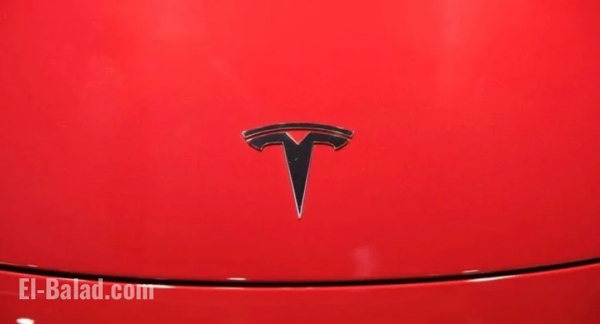 Tesla China’s Sales Plummet to Multi-Year Low