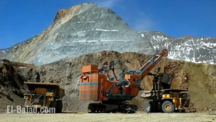 “Vandalizing Oceans: Alarming Rise in Marine Life Destruction”