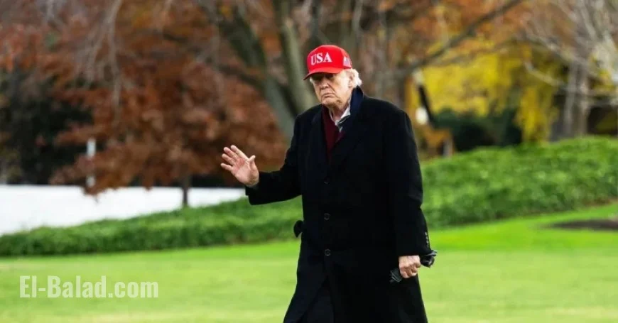 Trump Amplifies Overseas MAGA X Accounts