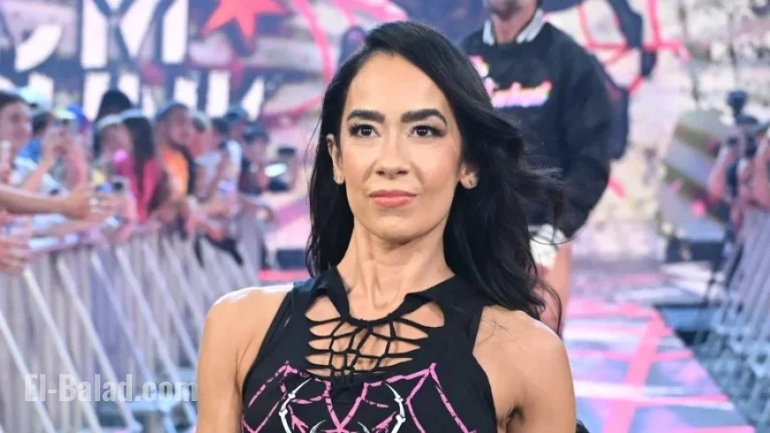 AJ Lee and Stephanie McMahon Tackle Controversial Social Media Dispute