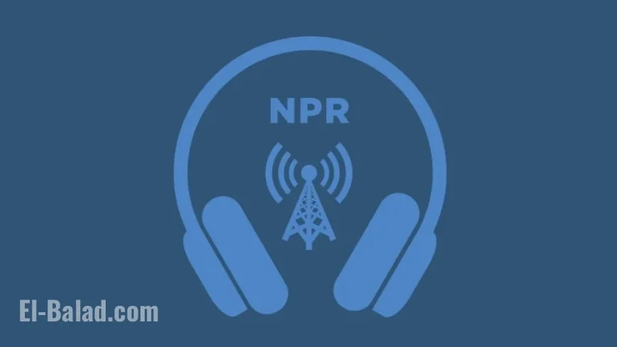 NPR Unveils Unique 2025 Books We Love List