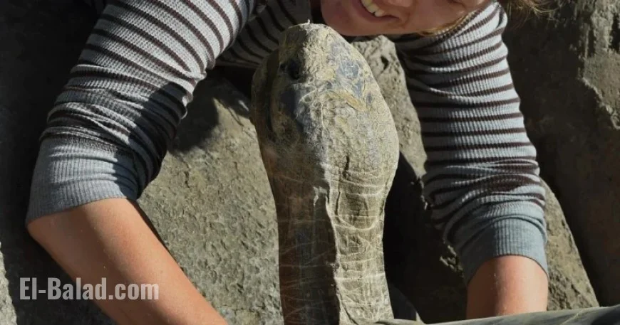 Centenarian Tortoise Gramma Passes Away at San Diego Zoo