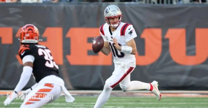 Week 12 Results Reshape NFL Playoff Standings