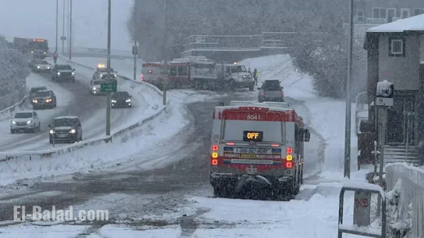Calgary Snowstorm: Flights Delayed, Buses Rerouted, Collisions Surge