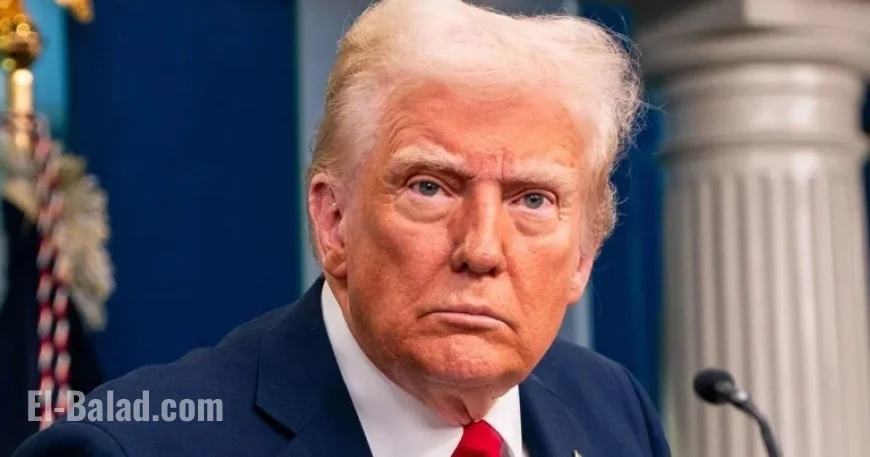 Harry Enten: Trumpworld’s Unusual Strategy Like Selling Ice in the Arctic