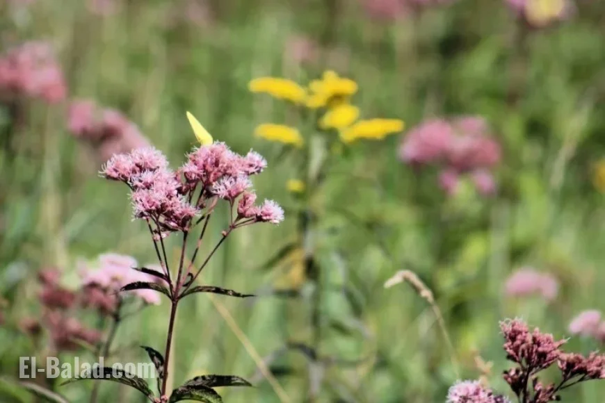 ‘Leave it to Beaver’ Actor Passes Away at 76